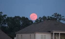 Strawberry Moon 2025: Effects on Zodiac Signs & Why It’s Trending