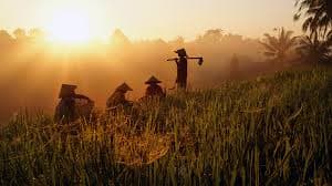 Chasing the Magic: Your Ultimate Guide to Mastering Golden Hour Photography