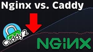 Caddy vs. Nginx in 2025: Differences and Best Use Cases for Educational Platforms